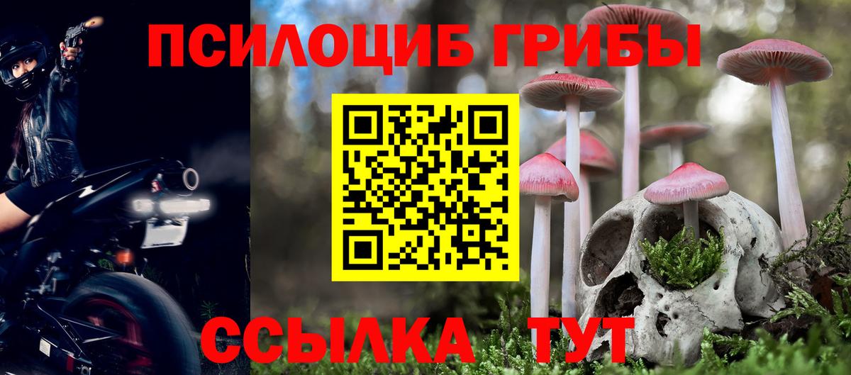 Галлюциногенные грибы GOLDEN TEACHER Обнинск